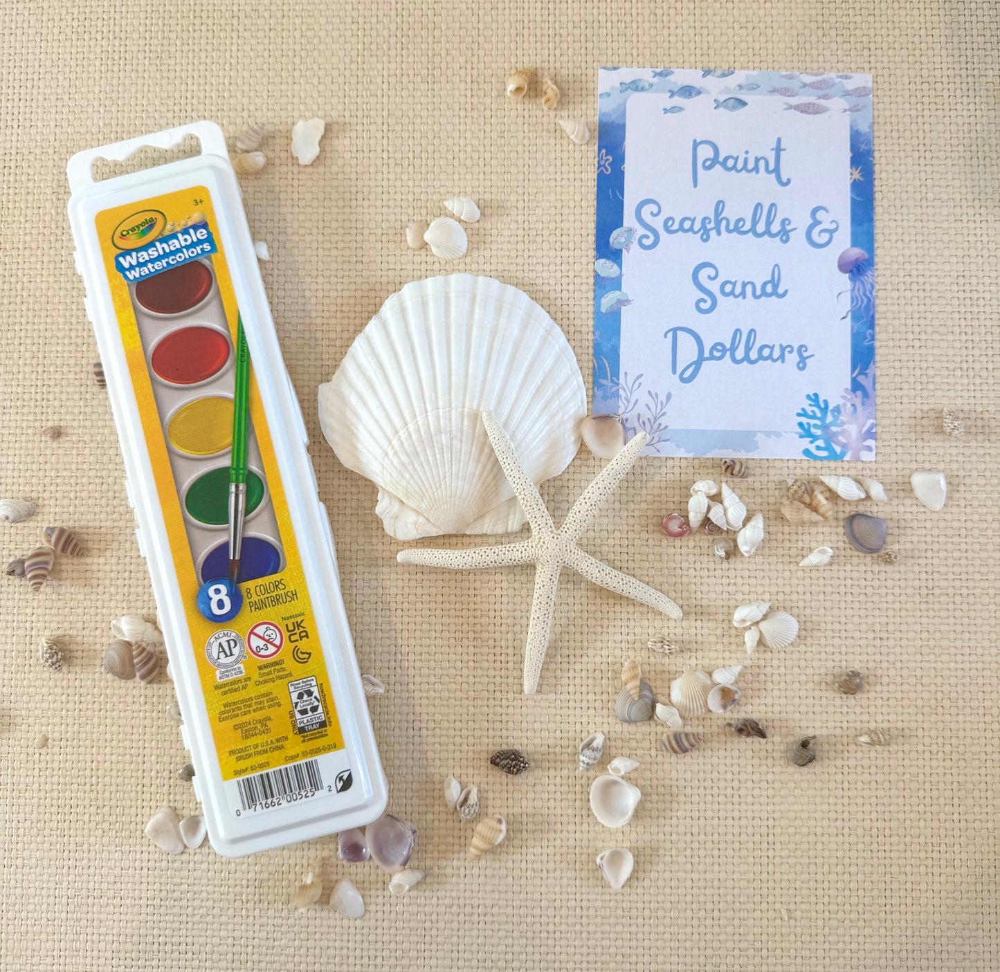 Ocean Dreams & Sandy Toes Box