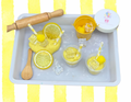 Lemonade Play Dough Kit