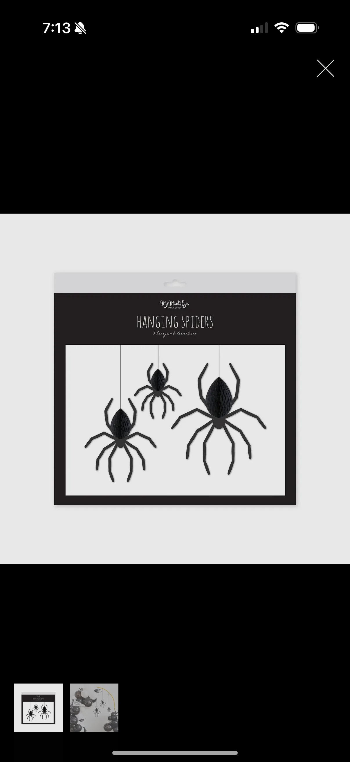 HANGING SPIDERS HONEYCOMB BANNER